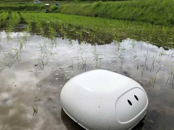 田んぼ農業に役立つアイガモロボットをご紹介！