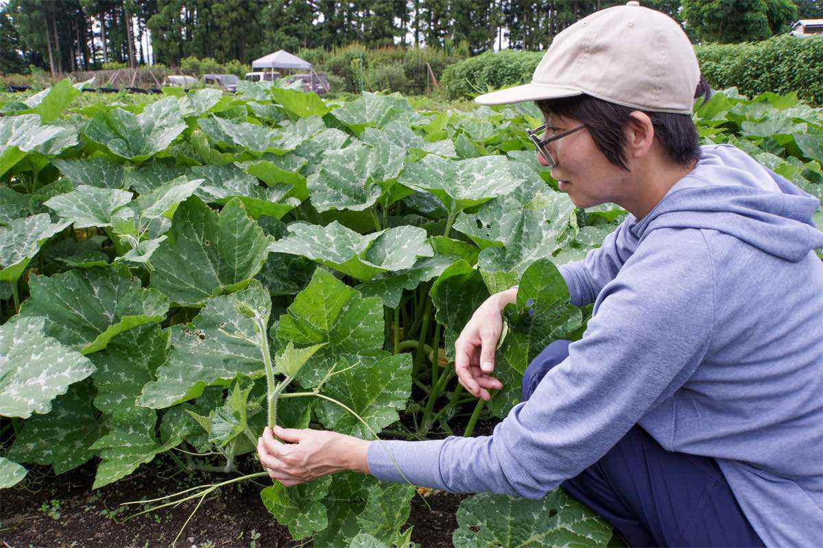 滋賀県に誕生した女性農家集団「しが農業女子 100人プロジェクト」が凄い！